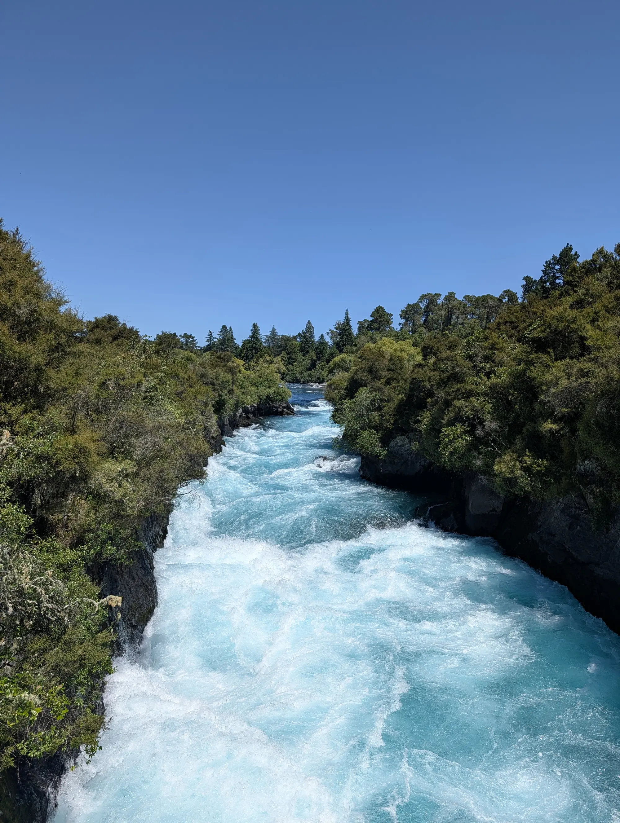 taupo